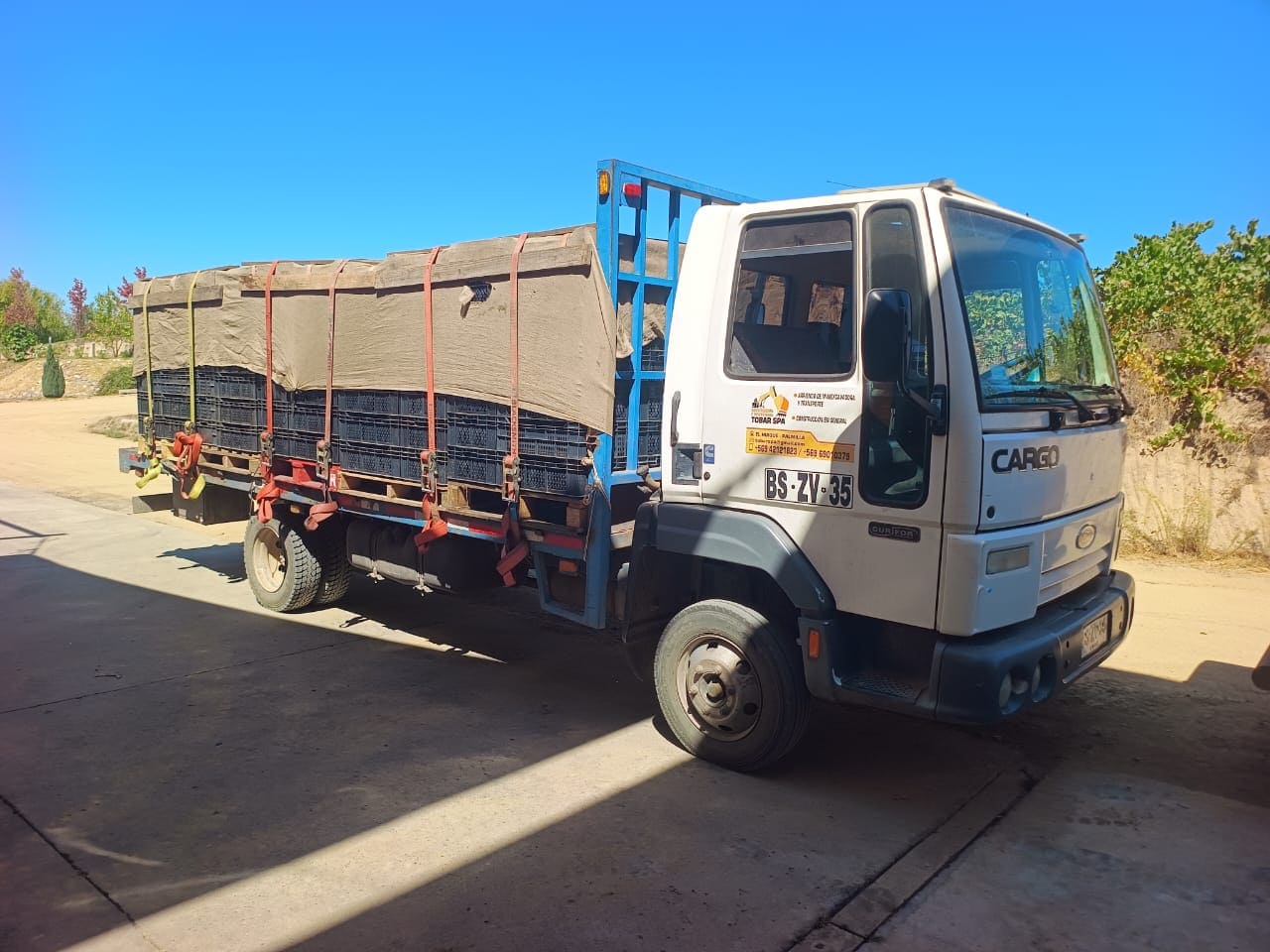 CAMION FORD